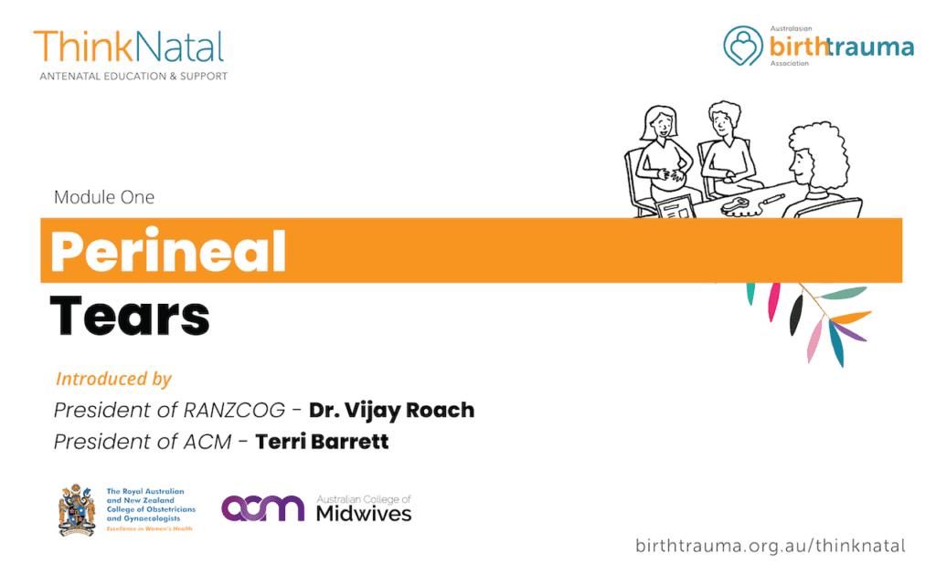 ThinkNatal Video Series Launch 1 perineal tears video launch