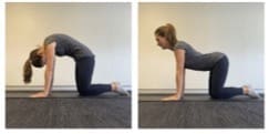 6 tips for the first 6 weeks 2 pelvic floor exercises 2