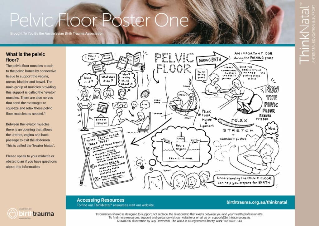 thinknatal 13 thinknatal posters2 pelvic floor